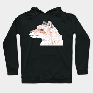 Orange Fox Hoodie